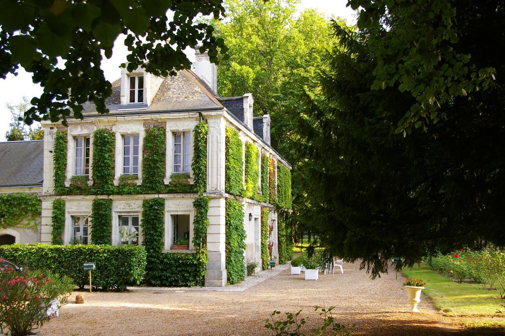 Hostellerie Du Chateau De L'Isle La Croix-en-Touraine Room photo